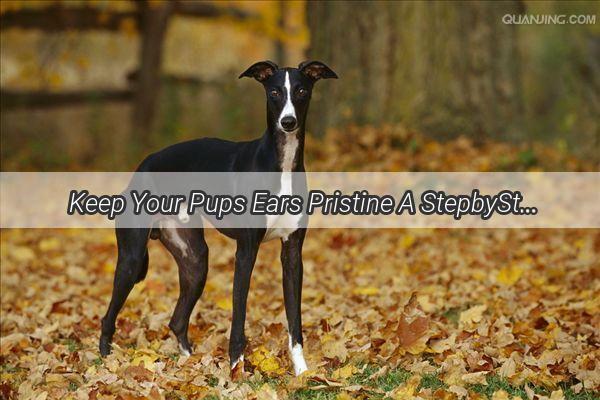 Keep Your Pups Ears Pristine A StepbyStep Guide to Dog Ear Cleaning